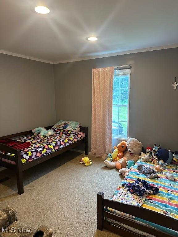 8541 Maxon Dixon Hwy, Western, WV 26590 - photo 13