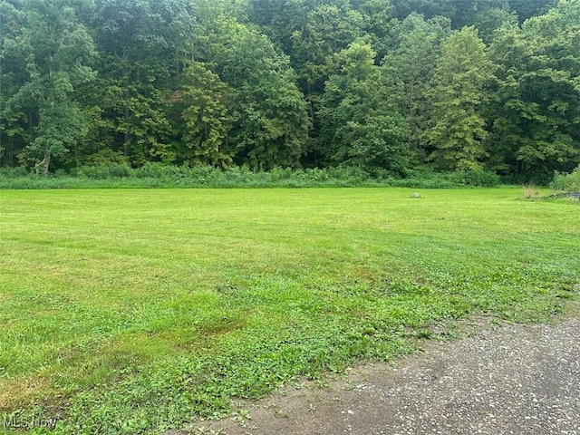 8541 Maxon Dixon Hwy, Western, WV 26590 - photo 23