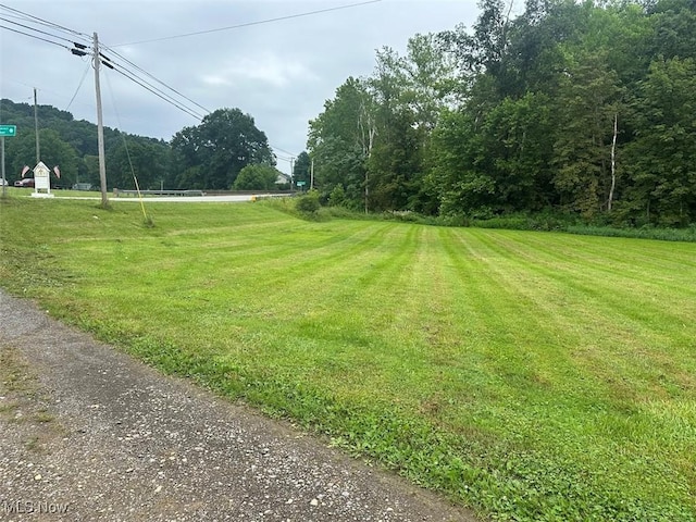8541 Maxon Dixon Hwy, Western, WV 26590 - photo 22