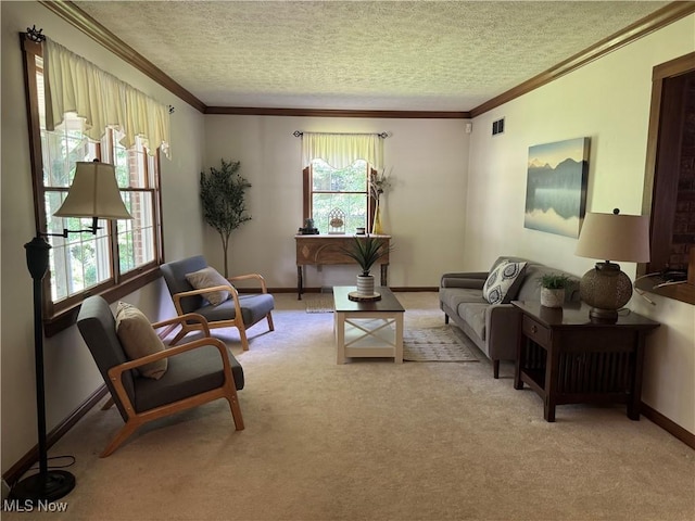 7345 Roller Rd, Salem, OH 44460 - photo 8