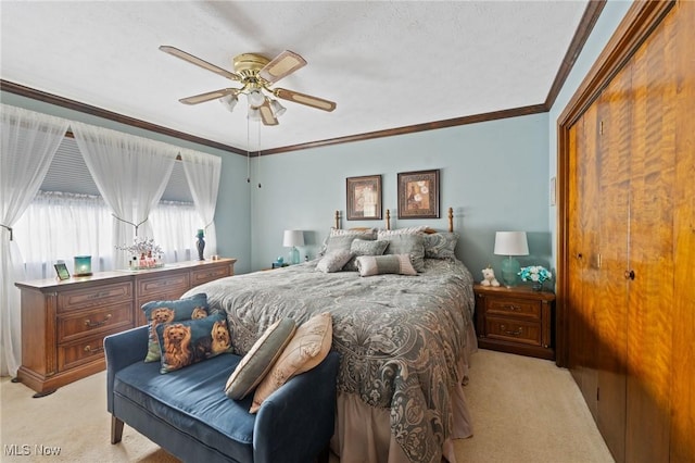 1009 Palmetto Dr, Hubbard, OH 44425 - photo 20