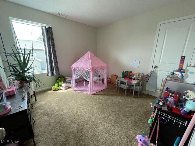 5993 Montauk Pt, Vermilion, OH 44089 - photo 29