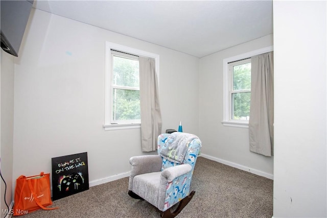 2026 Orchard Dr, Wooster, OH 44691 - photo 24