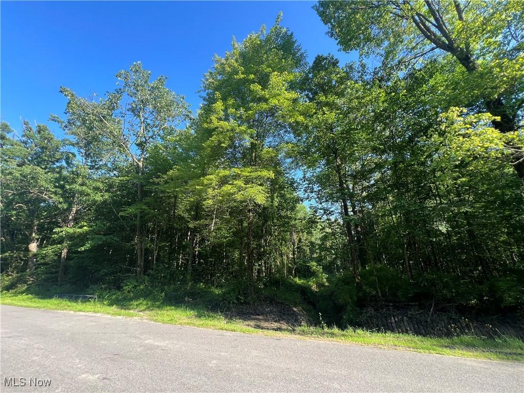 Gibbs Rd, Andover, OH 44003 - photo 1