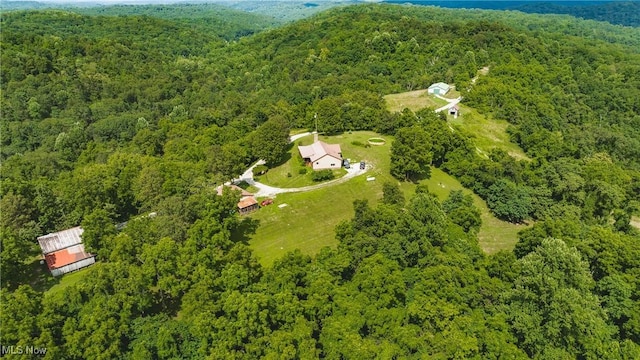 3029 Buck Run Rd, Mineral Wells, WV 26150 - photo 4