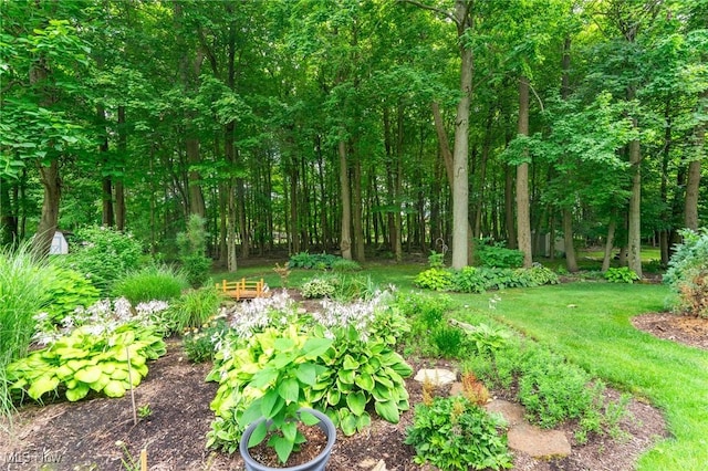 8465 Hilltop Dr, Poland, OH 44514 - photo 36