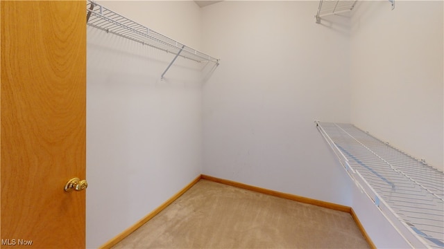 9051 Arden Dr, Mentor, OH 44060 - photo 25