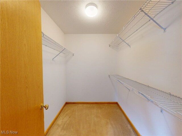 9051 Arden Dr, Mentor, OH 44060 - photo 19
