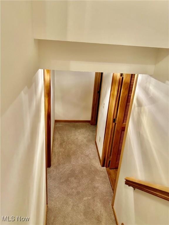 9051 Arden Dr, Mentor, OH 44060 - photo 28