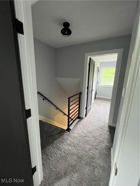 6116 Boneta Rd, Medina, OH 44256 - photo 31