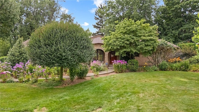 5585 Echodell Ave NW, Canton, OH 44720 - photo 5