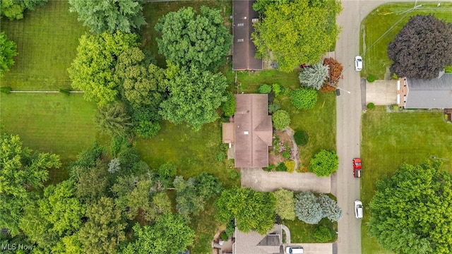 5585 Echodell Ave NW, Canton, OH 44720 - photo 35