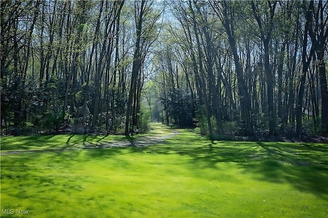 V/L Townline Rd, North Perry, OH 44057 - photo 2