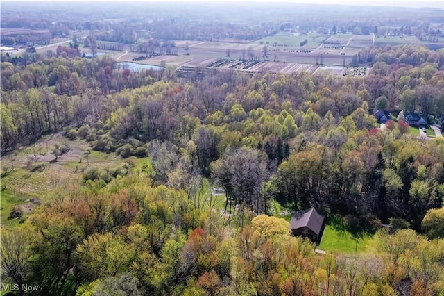 V/L Townline Rd, North Perry, OH 44057 - photo 3