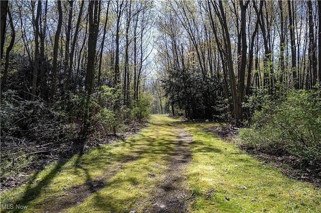 V/L Townline Rd, North Perry, OH 44057 - photo 4