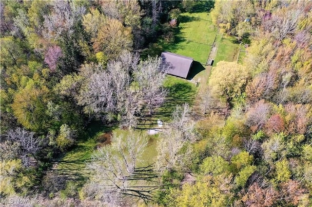 V/L Townline Rd, North Perry, OH 44057 - photo 19