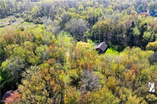 V/L Townline Rd, North Perry, OH 44057 - photo 20