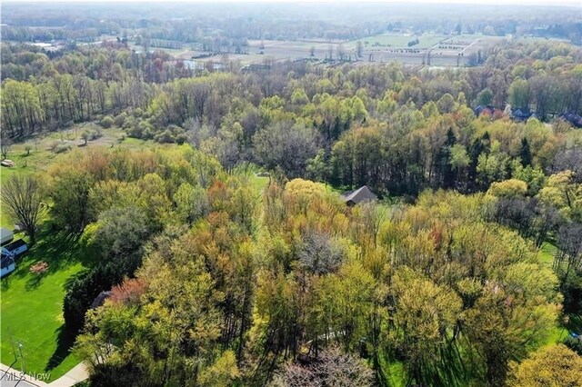 V/L Townline Rd, North Perry, OH 44057 - photo 23