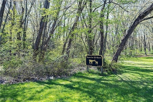 V/L Townline Rd, North Perry, OH 44057 - photo 1