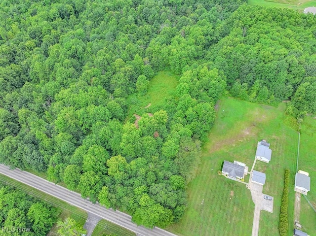V/L Austin Rd, Geneva, OH 44041 - photo 3