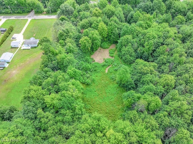 V/L Austin Rd, Geneva, OH 44041 - photo 4