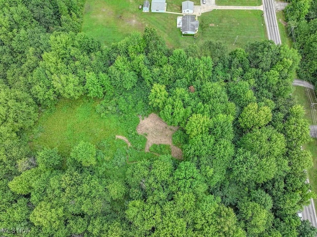 V/L Austin Rd, Geneva, OH 44041 - photo 5