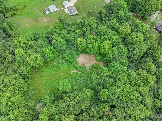 V/L Austin Rd, Geneva, OH 44041 - photo 7