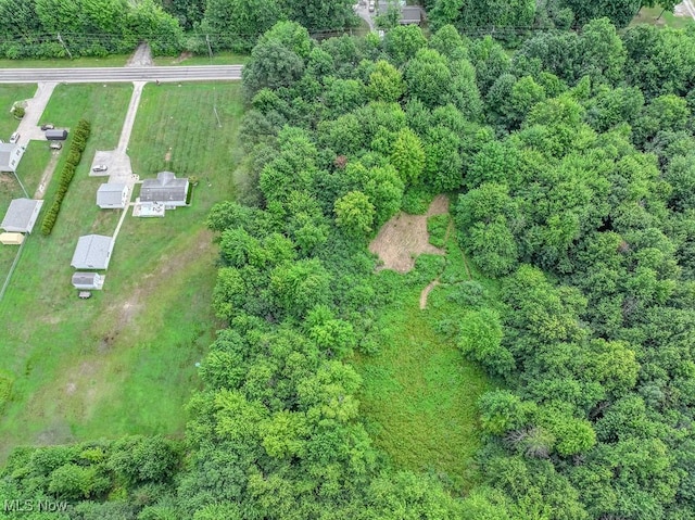 V/L Austin Rd, Geneva, OH 44041 - photo 8