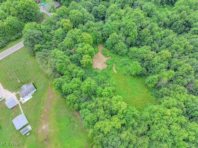 V/L Austin Rd, Geneva, OH 44041 - photo 9
