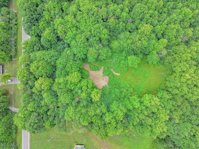 V/L Austin Rd, Geneva, OH 44041 - photo 10