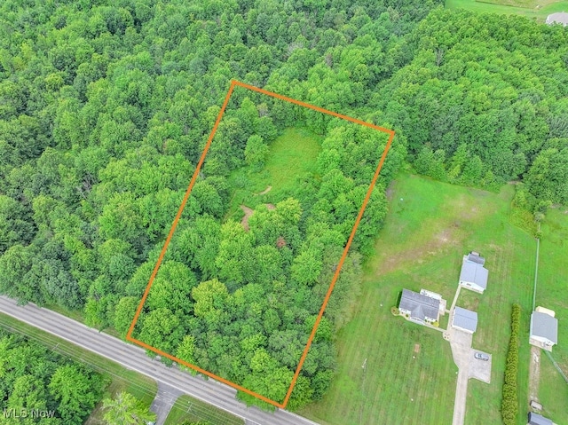 V/L Austin Rd, Geneva, OH 44041 - photo 1