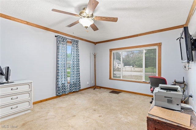 50 Prospect St, Seville, OH 44273 - photo 14