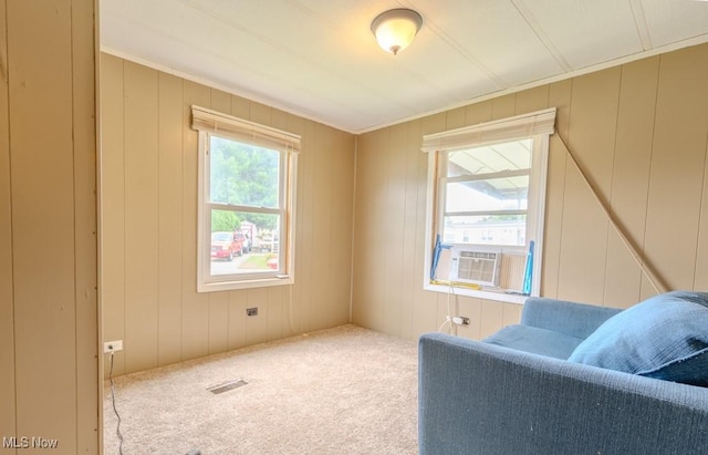 433 Lisa Dr, Lodi, OH 44254 - photo 29