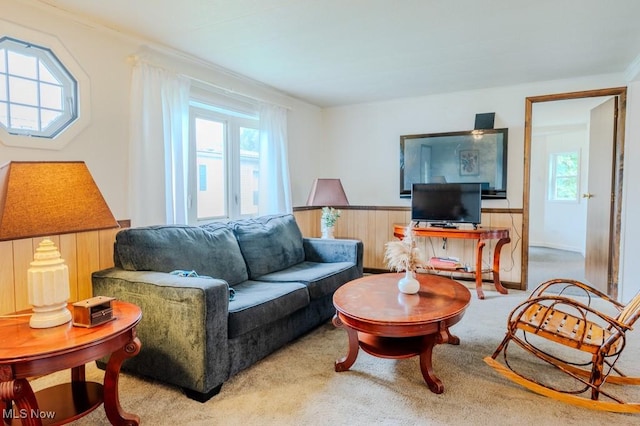 433 Lisa Dr, Lodi, OH 44254 - photo 6