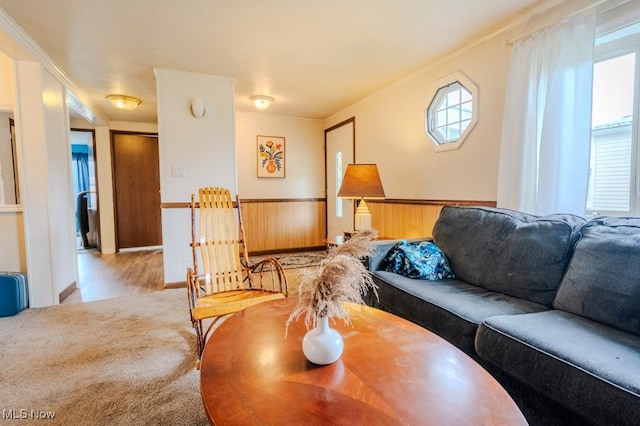433 Lisa Dr, Lodi, OH 44254 - photo 8