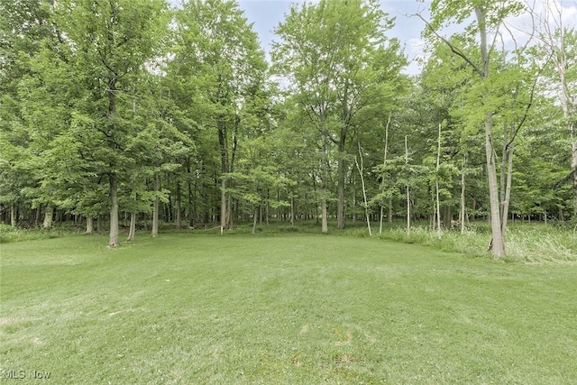 5807 Wilson Mills Rd, Highland Heights, OH 44143 - photo 43