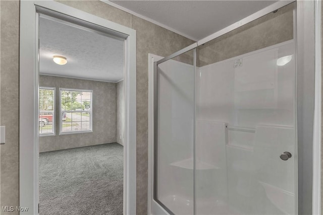 3764 US Highway 224 E Unit 91, Greenwich, OH 44837 - photo 13