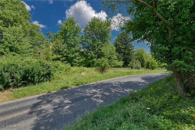 47628 Carmel Achor Rd, Rogers, OH 44455 - photo 15