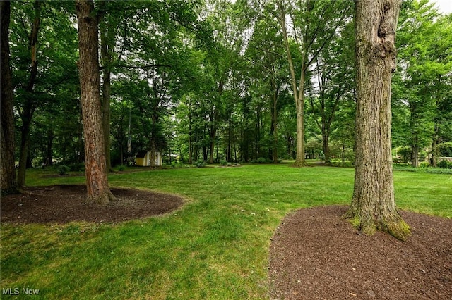 7424 Old Quarry Ln, Brecksville, OH 44141 - photo 45