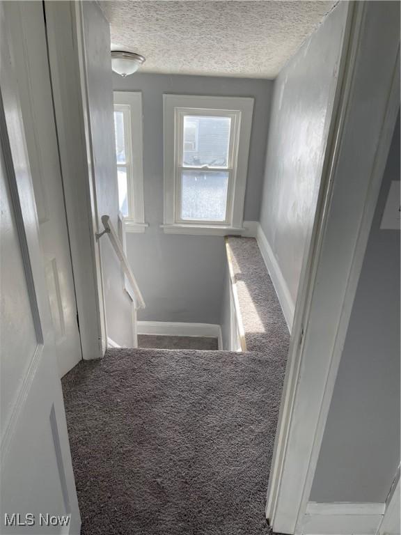 461 Bacon Ave, Akron, OH 44320 - photo 3