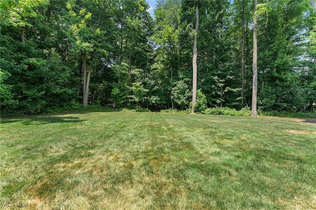 12155 Cora Ct, Concord, OH 44077 - photo 47