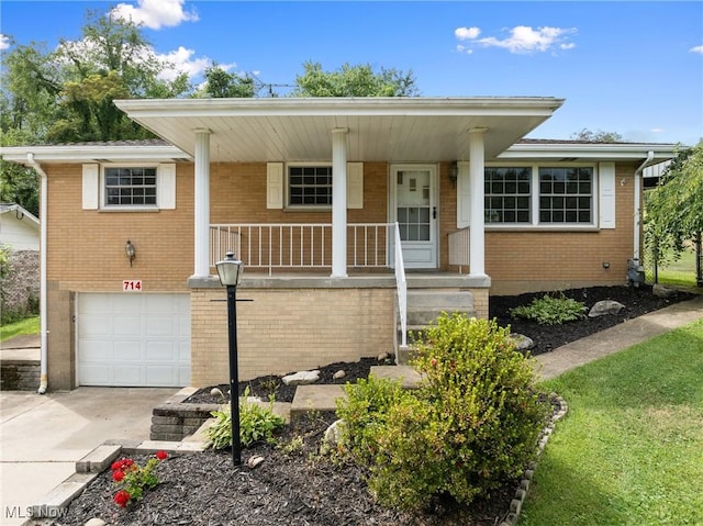 714 Douglas Ave, Wintersville, OH 43953 - photo 4