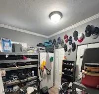 2404 Forestdale Ave, Cleveland, OH 44109 - photo 12