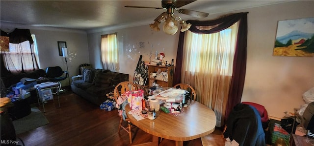 20430 Miller Ave, Euclid, OH 44119 - photo 8
