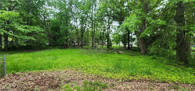 20430 Miller Ave, Euclid, OH 44119 - photo 3