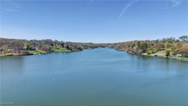 3190 E Buckhorn Dr, Millersburg, OH 44654 - photo 48