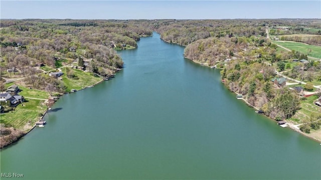 3190 E Buckhorn Dr, Millersburg, OH 44654 - photo 46