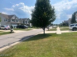 Outrigger Cv, Painesville, OH 44077 - photo 4