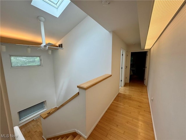 3559 Birchtree Path, Cleveland Heights, OH 44121 - photo 20
