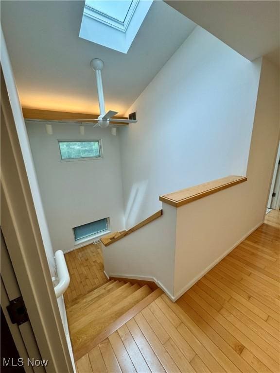 3559 Birchtree Path, Cleveland Heights, OH 44121 - photo 21
